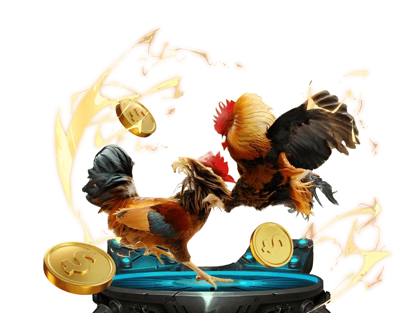 Hoàn trả J188 thể thao